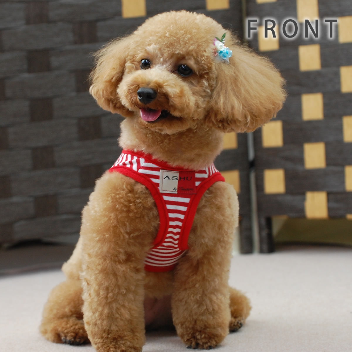���ѥϡ��ͥ����꡼�ɥ��åȡ�ASHU���������ϡ��ͥ��ܡ��������꡼�ɥ��åȡ�M����������������