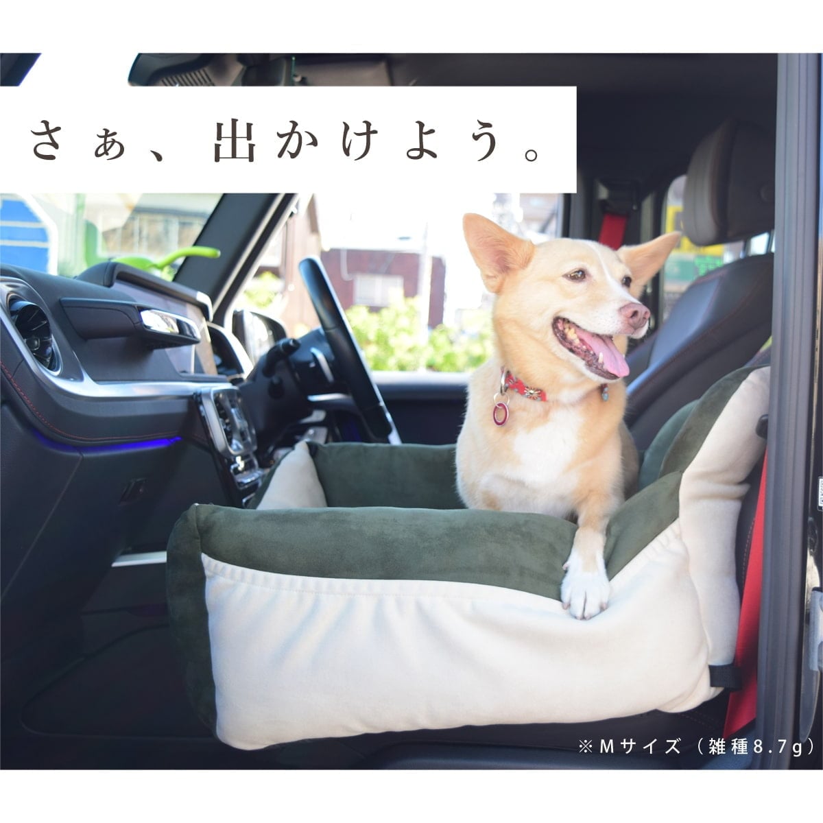 3_000000006910.jpg?1718640749