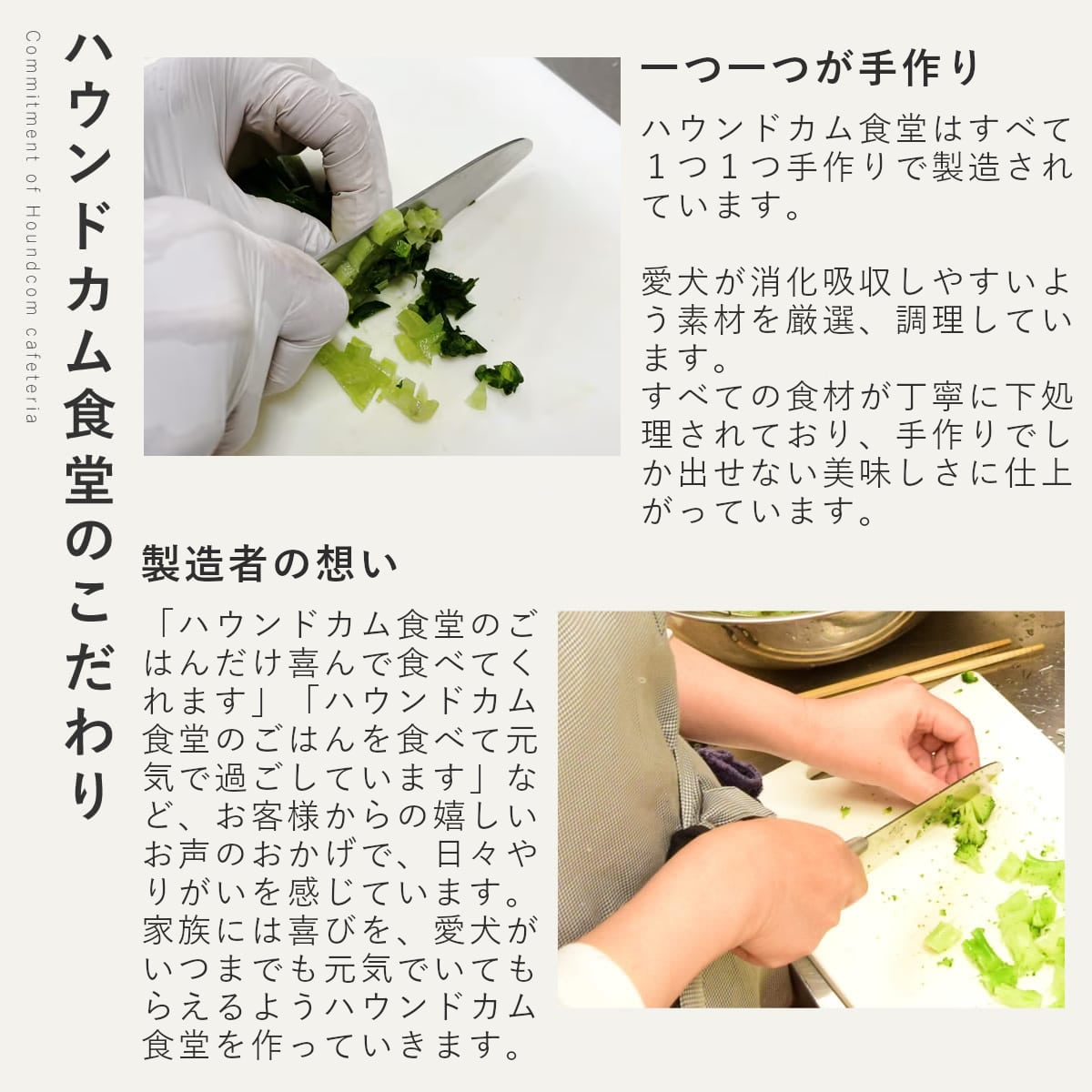 ������ǭ�� ���ꤴ�Ϥ� �����Υ�����������6��/12��/24��/���åȡ������ء� �ڥϥ���ɥ��࿩Ʋ��