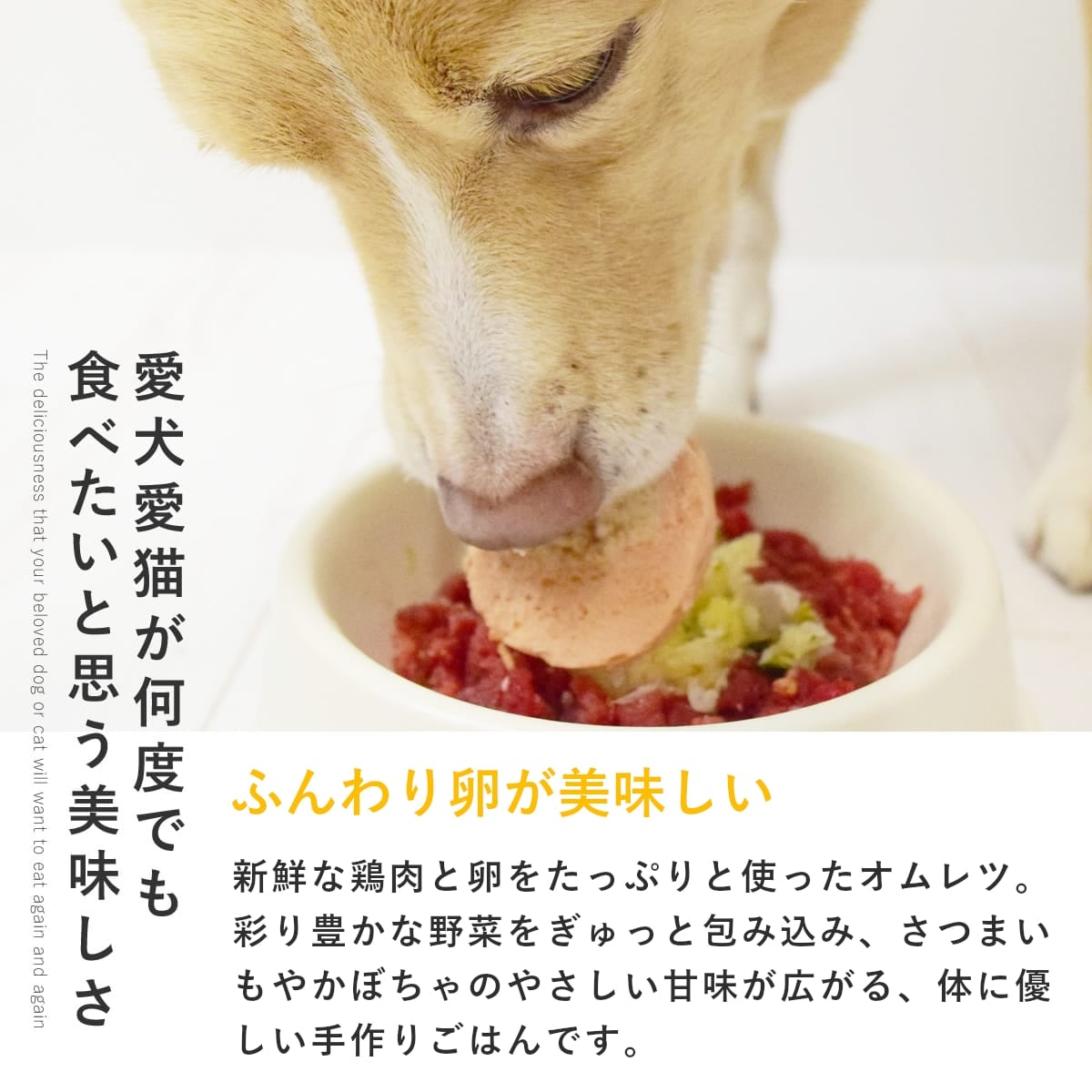 ������ǭ�� ���ꤴ�Ϥ� �����Υ�����������6��/12��/24��/���åȡ������ء� �ڥϥ���ɥ��࿩Ʋ��