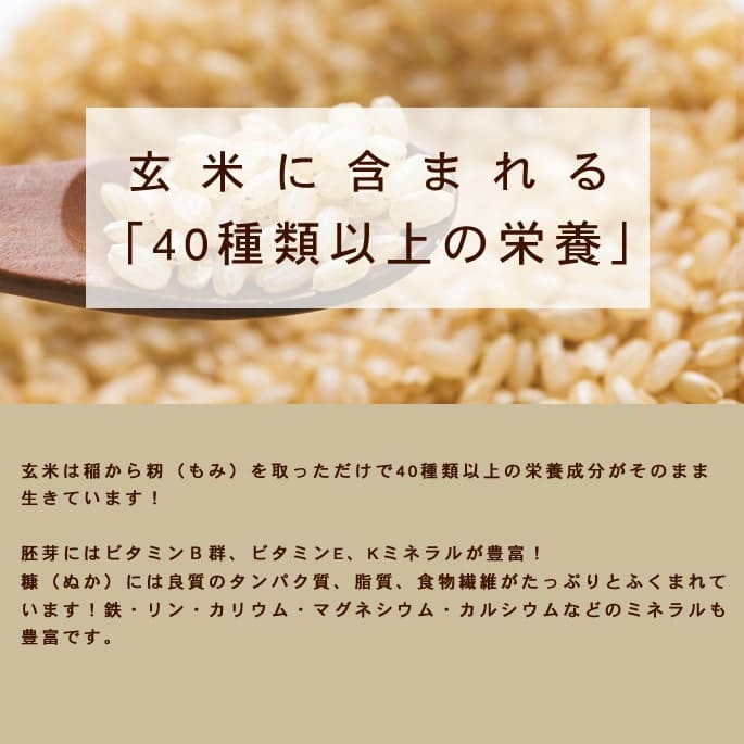  꿩å֥ѥ ʴa0042ۡǤޤۢǭˤ⤴Ѥޤ