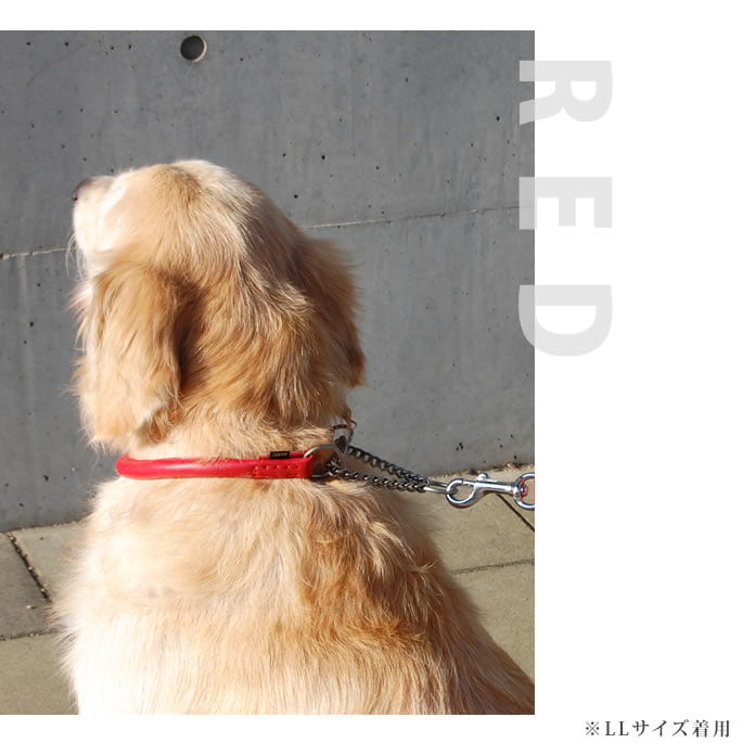 �緿���ѥϡ��ե��硼����ASHU�����եȥ쥶���ϡ��ե��硼�������������̣�