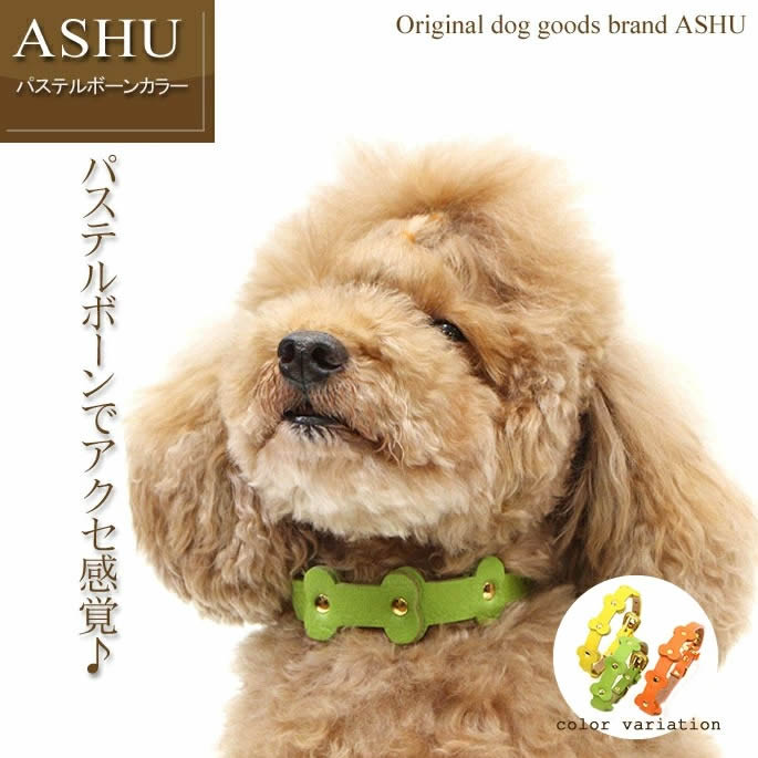 小型犬用首輪 首輪 カラー Max＆Molly Original Gear コミック ｜ 犬用グッズ