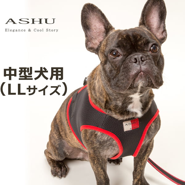 淿ѥϡͥASHUϡͥ å塡XLڥ꡼ɤ