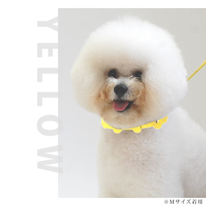 Ķ�������Ѽ��ء�ASHU���ѥ��ƥ�ܡ��󥫥顼 SS������