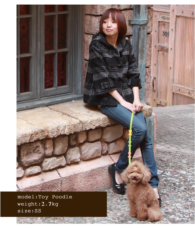 Ķ�������Ѽ��ء�ASHU���ѥ��ƥ�ܡ��󥫥顼 SS������