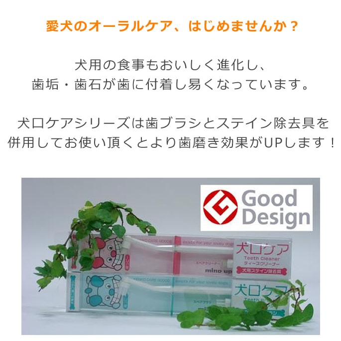 �����������ƥ������֥饷�����ѥ��ƥ�������