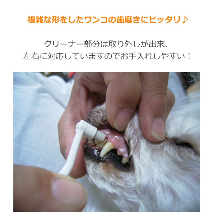 �����������ƥ������֥饷�����ѥ��ƥ�������