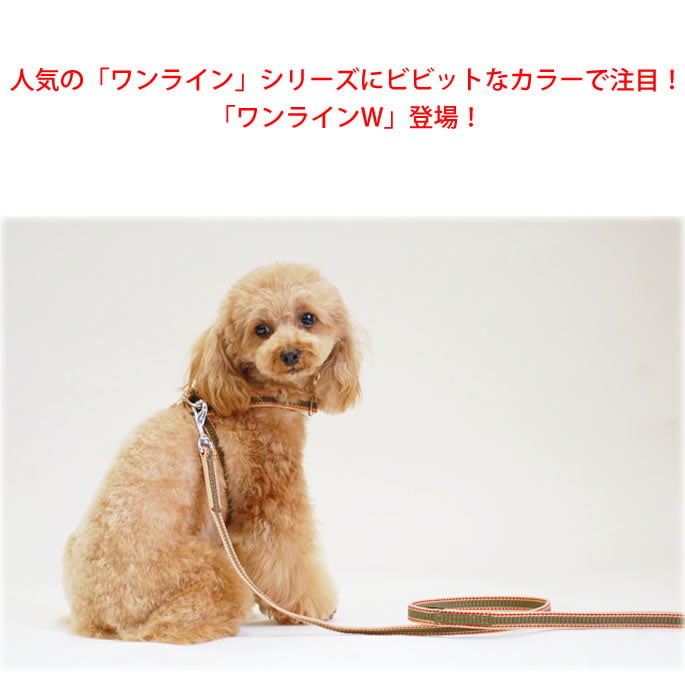 �������ѥ꡼�ɡ�ASHU�����饤��W���꡼��