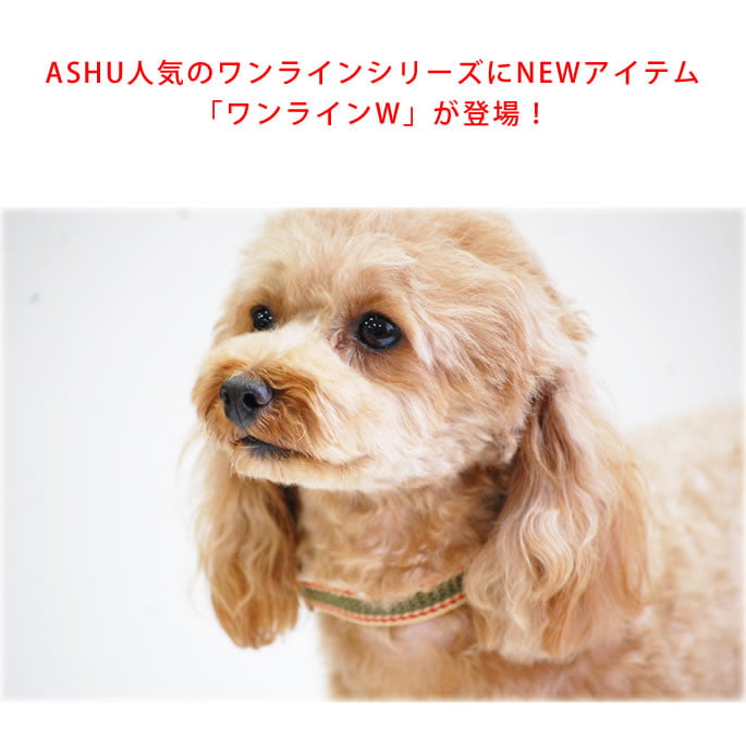 �淿���Ѽ��ء�ASHU�����饤��W���顼��M��������
