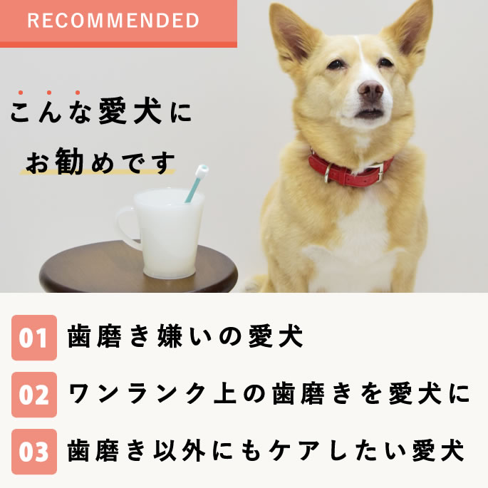 お口ラクラク♪ マウスクリーンPro 犬 口臭サプリメント