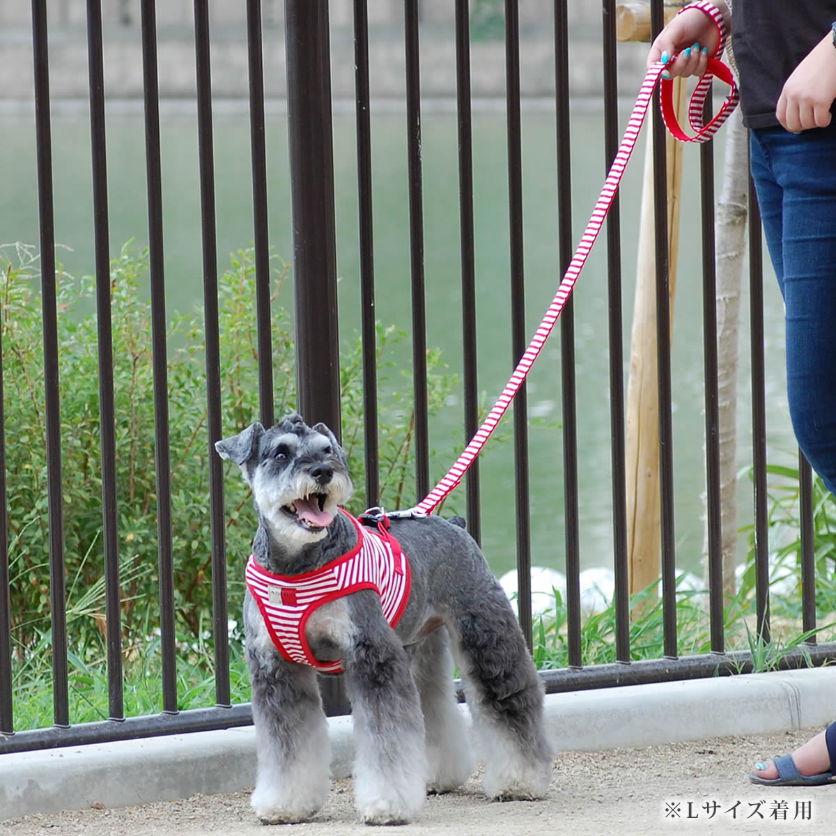 ���ѥϡ��ͥ����꡼�ɥ��åȡ�ASHU���������ϡ��ͥ��ܡ��������꡼�ɥ��åȡ�LL�����������������淿����