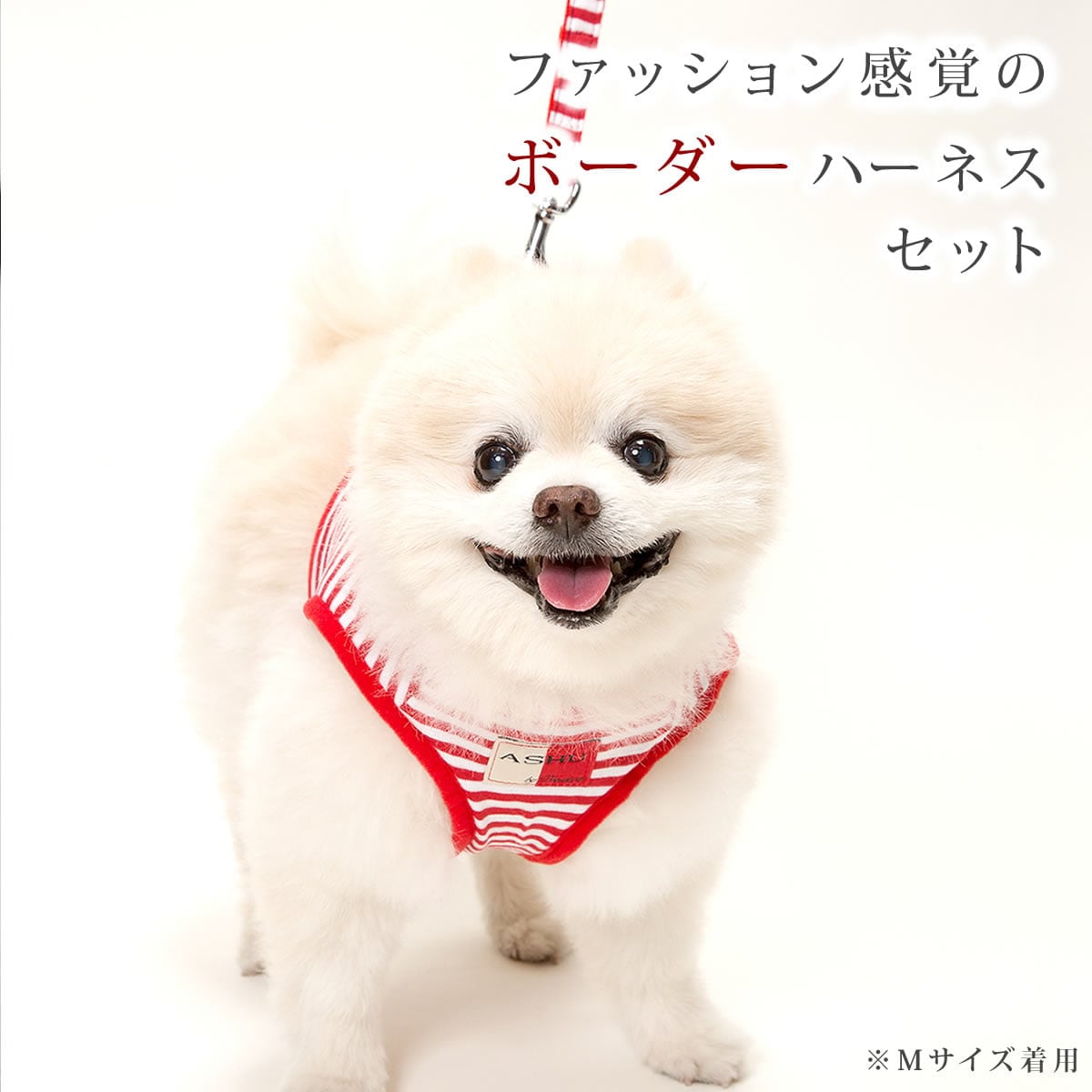 ���ѥϡ��ͥ����꡼�ɥ��åȡ�ASHU���������ϡ��ͥ��ܡ��������꡼�ɥ��åȡ�LL�����������������淿����