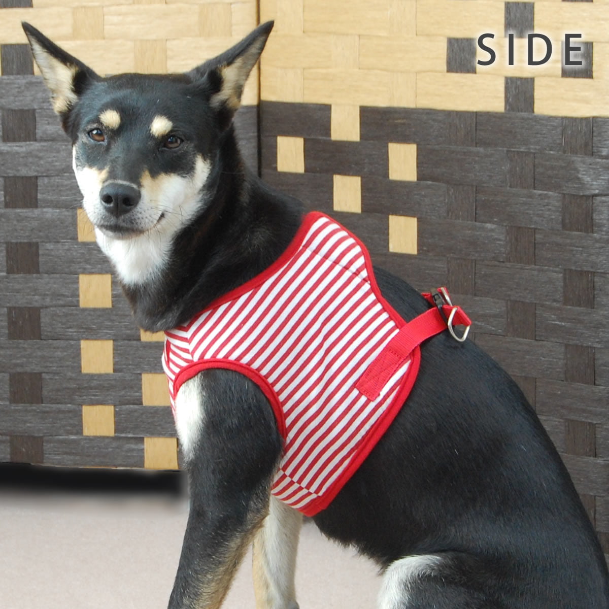 ���ѥϡ��ͥ����꡼�ɥ��åȡ�ASHU���������ϡ��ͥ��ܡ��������꡼�ɥ��åȡ�LL�����������������淿����