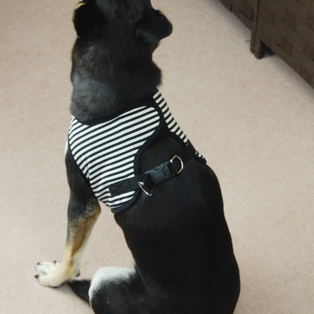 ���ѥϡ��ͥ����꡼�ɥ��åȡ�ASHU���������ϡ��ͥ��ܡ��������꡼�ɥ��åȡ�LL�����������������淿����