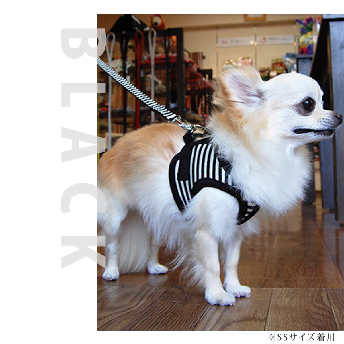 ���ѥϡ��ͥ����꡼�ɥ��åȡ�ASHU���������ϡ��ͥ��ܡ��������꡼�ɥ��åȡ�LL�����������������淿����