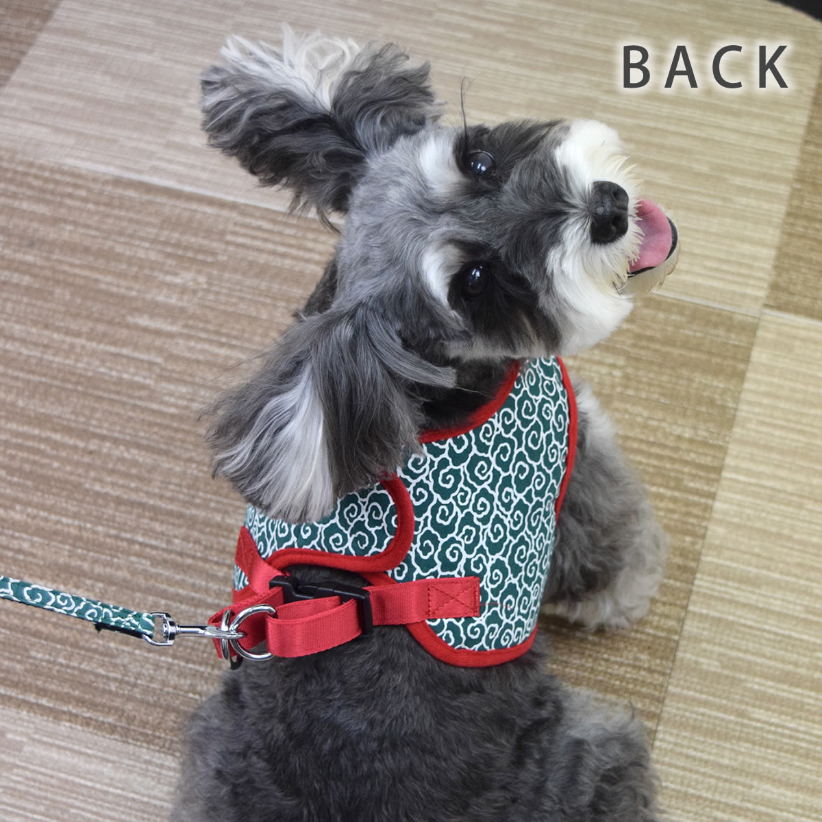 ASHUϡͥ 𥻥å L(淿)