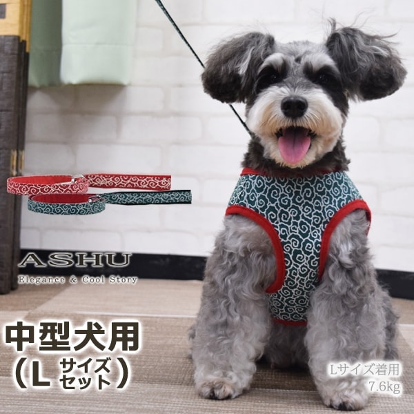 ASHUϡͥ 𥻥å L(淿)