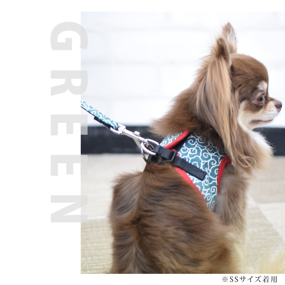 ASHUウェアハーネス 唐草セット Lサイズ(中型犬用)