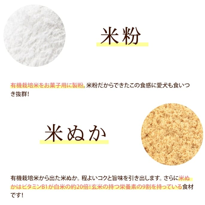 ���Ѥ���ġåǥ󥿥�ӥ����å�2�糧�å�(�Ƥ̤������ޡ��Ҥ���)