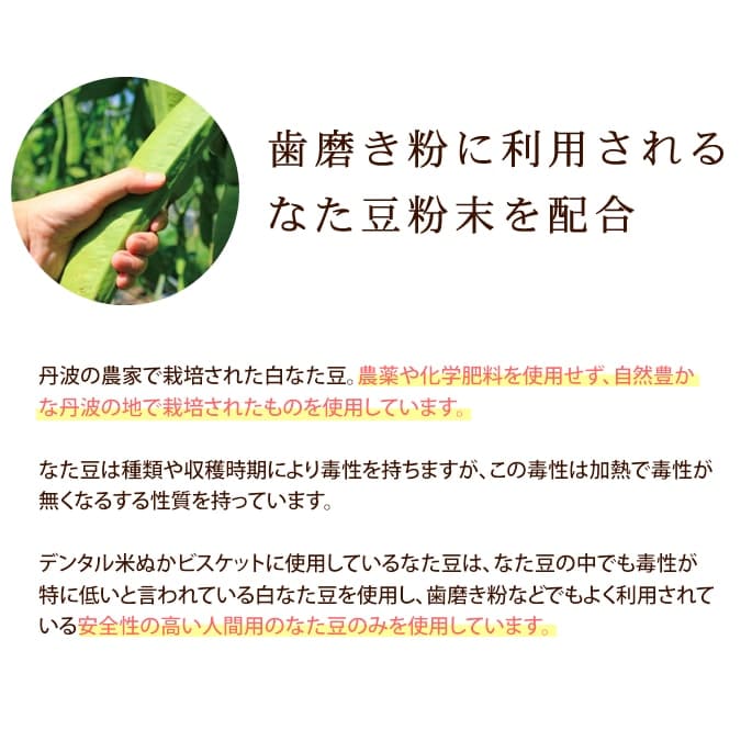 ���Ѥ���ġåǥ󥿥�ӥ����å�2�糧�å�(�Ƥ̤������ޡ��Ҥ���)