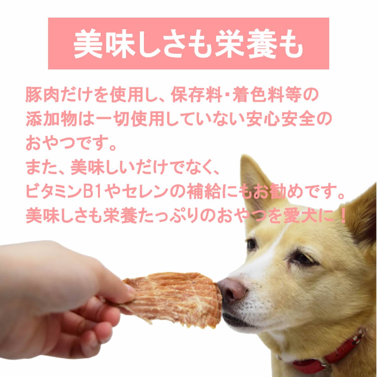 ����ǭ�ѥ��㡼����  �ڤδ�����40g   �¿���̵ź�ä����