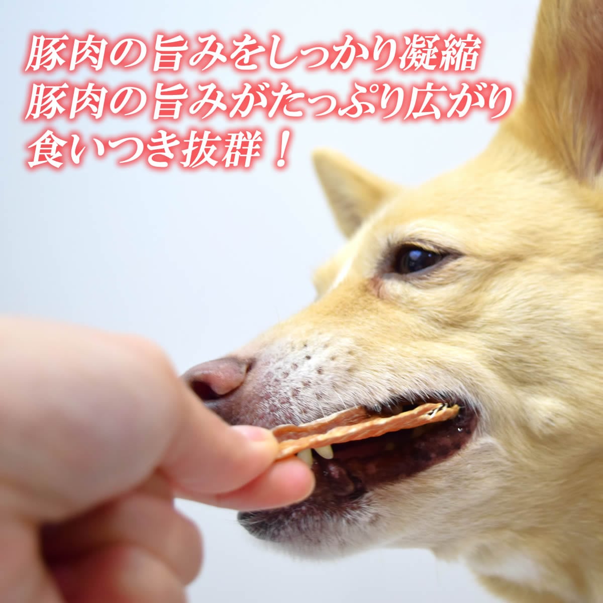 ����ǭ�ѥ��㡼����  �ڤδ�����40g   �¿���̵ź�ä����