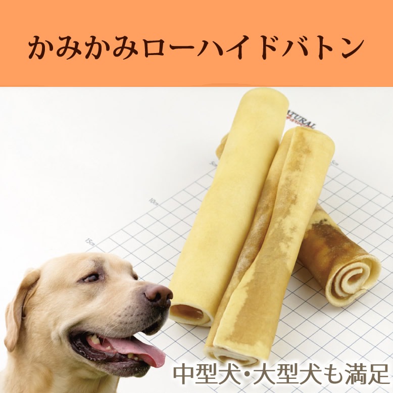 �ʥ�����ϡ��٥��� ����ġä��ߤ��� �����ϥ��� �Хȥ� 7�����ꡡ�緿�� �淿����