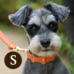 �������Ѽ��ء�ASHU���ѥ��ƥ�ܡ��󥫥顼 S������