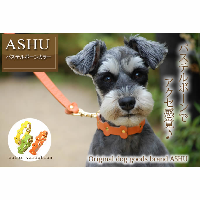 小型犬用首輪 Amazon | WDPAWS ペット首輪 小型犬 首輪 犬 犬の首輪 調節可能