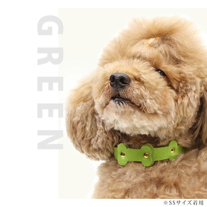 �������Ѽ��ء�ASHU���ѥ��ƥ�ܡ��󥫥顼 S������