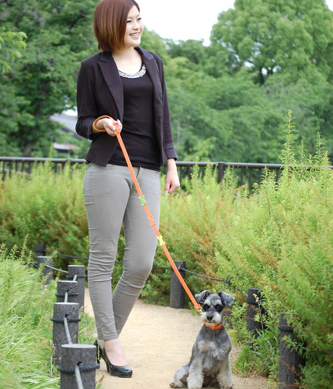 �������Ѽ��ء�ASHU���ѥ��ƥ�ܡ��󥫥顼 S������