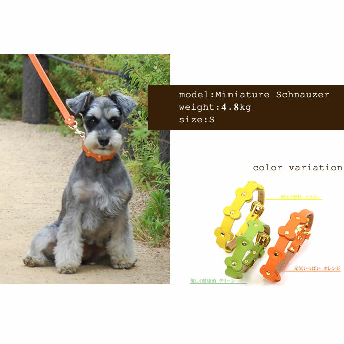 �������Ѽ��ء�ASHU���ѥ��ƥ�ܡ��󥫥顼 S������