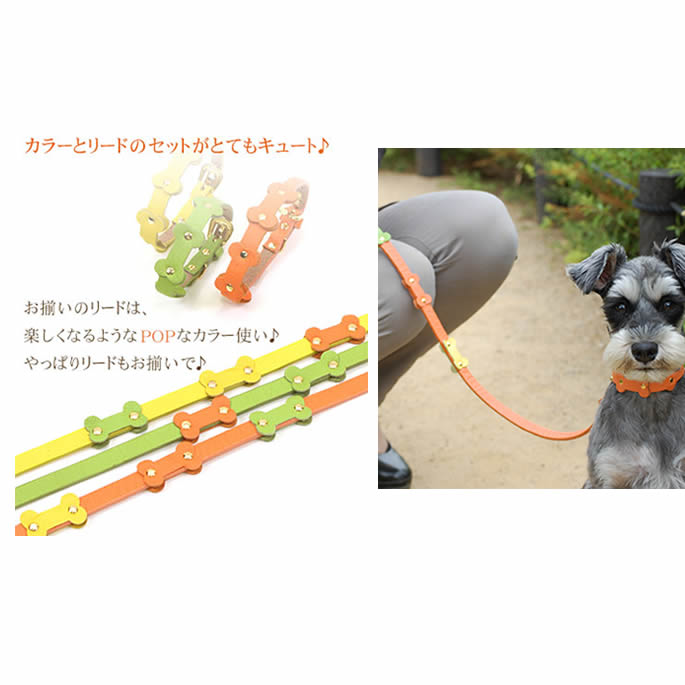 �������Ѽ��ء�ASHU���ѥ��ƥ�ܡ��󥫥顼 S������