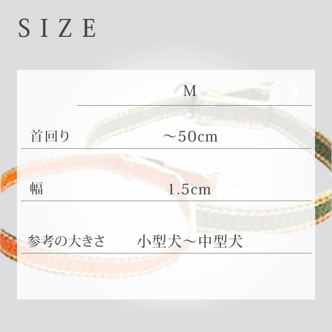 �淿���Ѽ��ء�ASHU�����饤��W�����硼�����顼��M��������