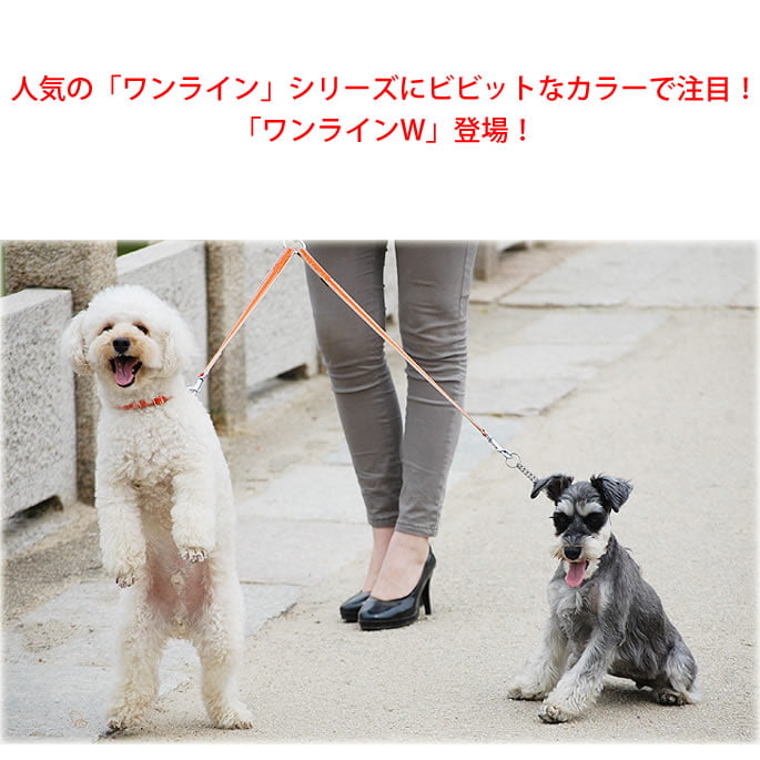 ¿Ƭ�����ˡ�ASHU�����饤��W����Ƭ����