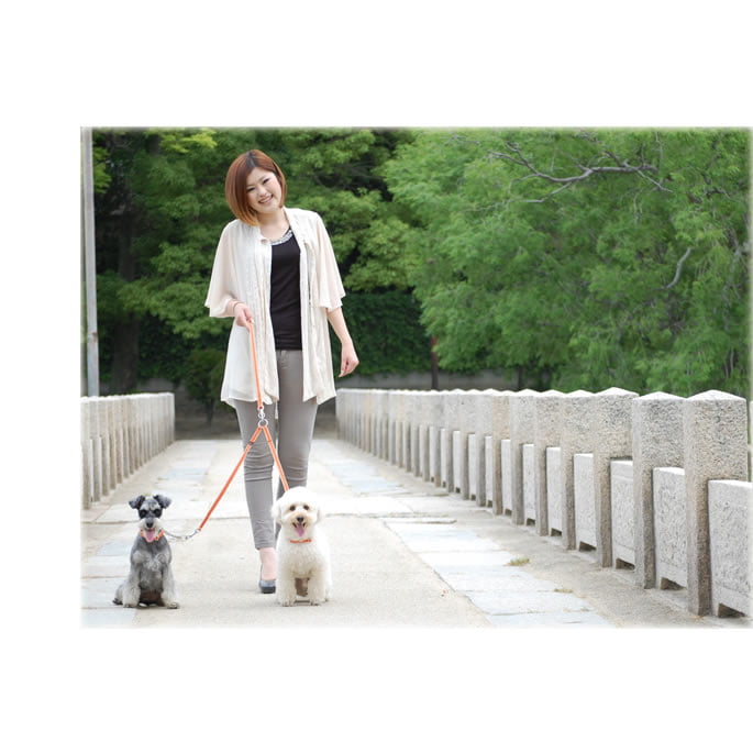¿Ƭ�����ˡ�ASHU�����饤��W����Ƭ����