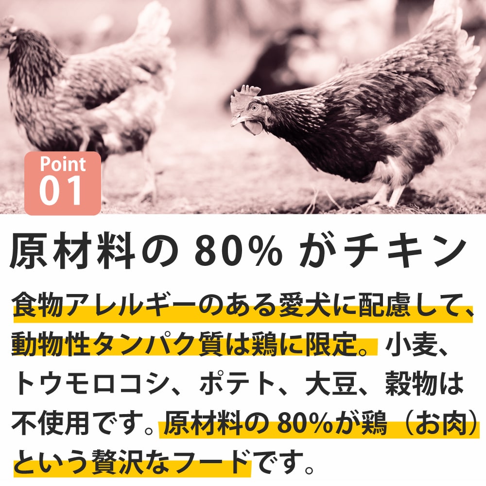AATU�ʥ����ȥ����� ������  �ɥå��ա��� 1.5kg/5kg/10kg��a0336�ۢ�2025ǯ10��ʹ߽缡��˥塼����