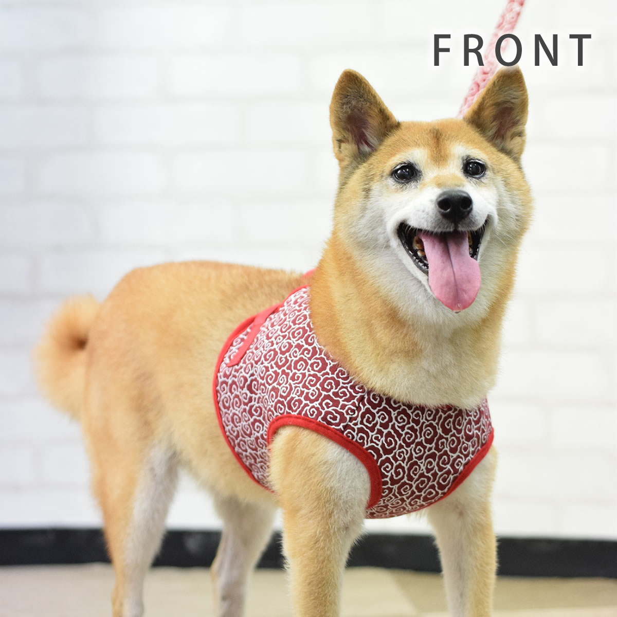 ASHUϡͥ 𥻥å LL(淿)