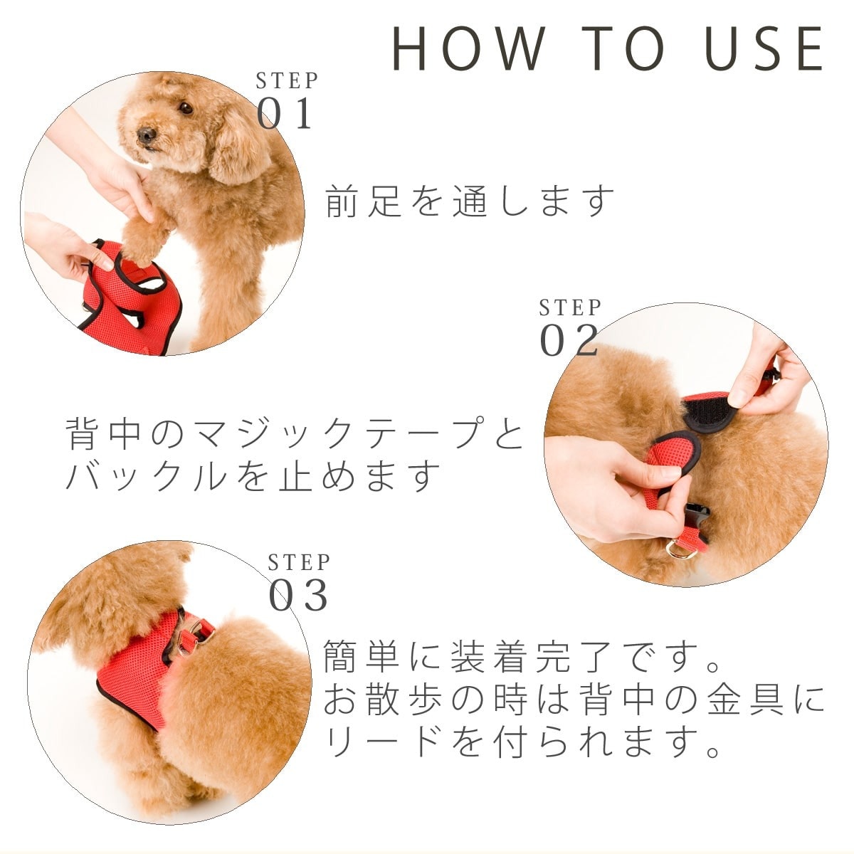 ASHUウェアハーネス 唐草セット LLサイズ(中型犬用)