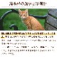 AATU �����ȥ����å���åȡ����å���1kg  �ɥ饤�ա��� ��ǯ���б� ��2022ǯ5��ʹߡ�����������˥塼���뤷�ޤ���