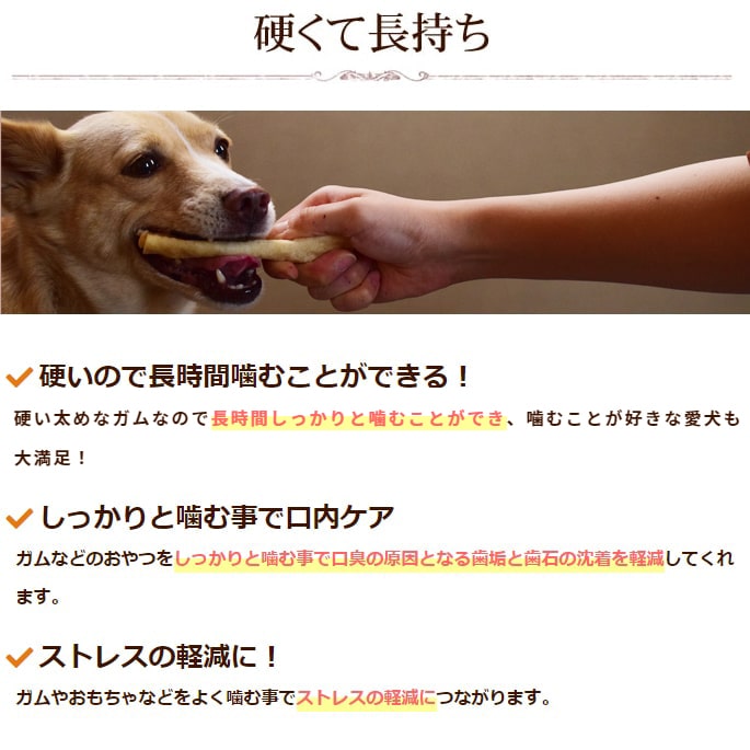 ��12�����۰����ѥ��� �񻺵�������������ϡ��� 5�ޥ��å�+1�ĥץ쥼���