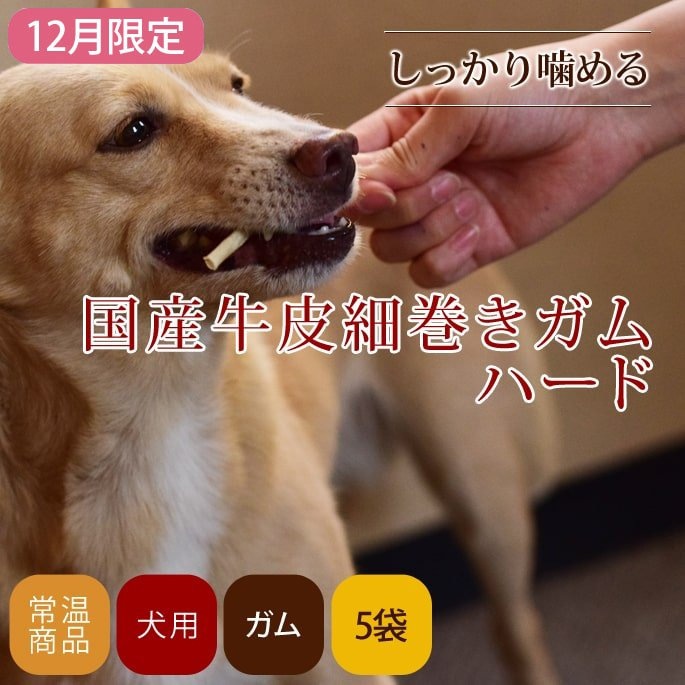 ��12�����۰����ѥ��� �񻺵�������������ϡ��� 5�ޥ��å�+1�ĥץ쥼���