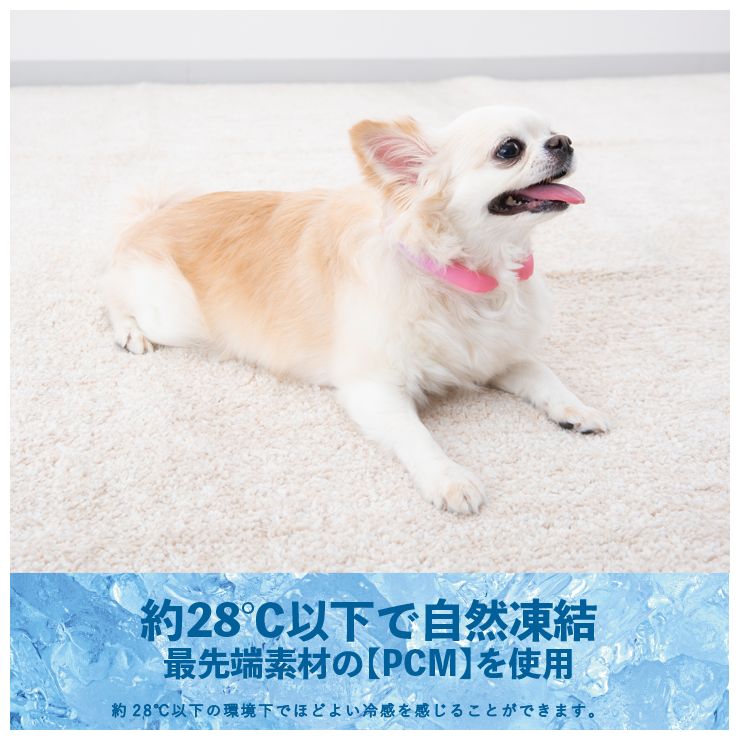 ������ǭ�ѡ��������󥰡�S���ԥ󥯥ࡼ��