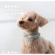 ������ǭ�ѡ��������󥰡�S���ԥ󥯥ࡼ��
