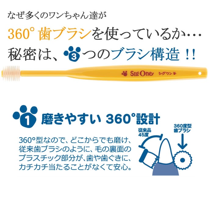 �ӥХƥå����ڥåȻ��֥饷��������󡡾������ѻ��֥饷