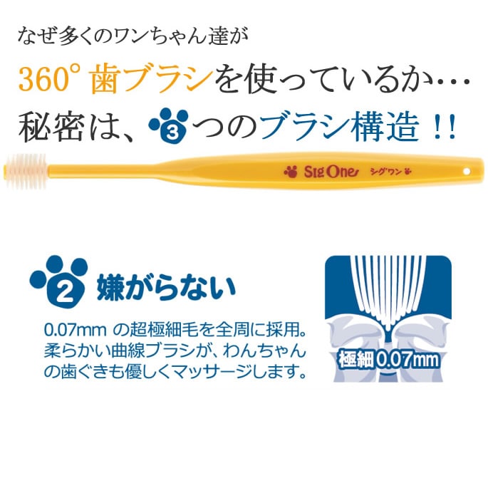 �ӥХƥå����ڥåȻ��֥饷��������󡡾������ѻ��֥饷