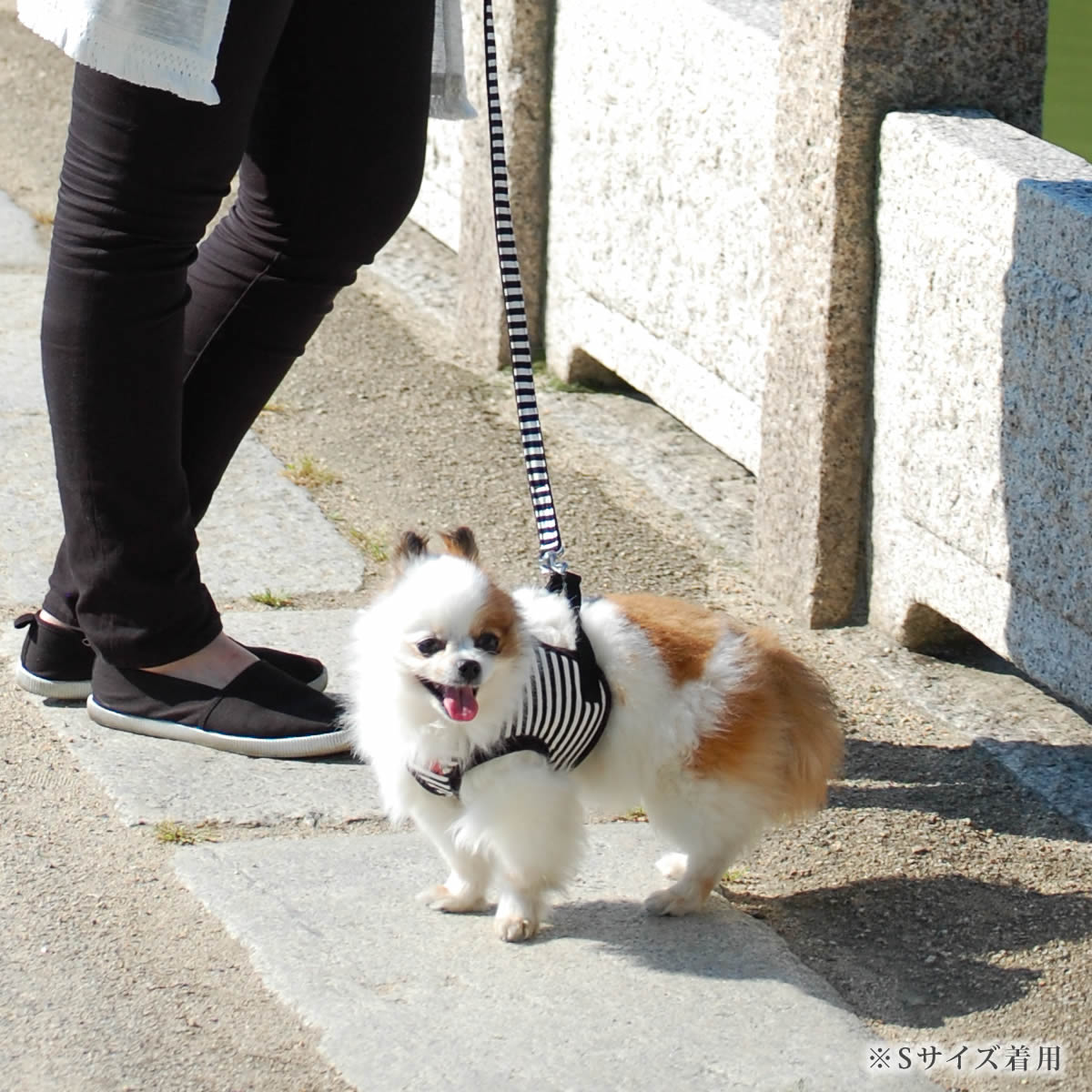 �������ѥϡ��ͥ���ASHU���������ϡ��ͥ� �ܡ����� S�������ڥ꡼�ɤ�������