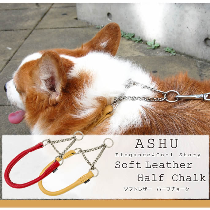 �淿���ѥϡ��ե��硼����ASHU�����եȥ쥶���ϡ��ե��硼�������������͡�MA