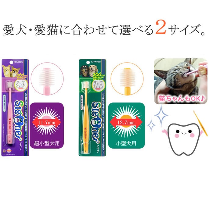 �ӥХƥå����ڥåȻ��֥饷��������󡡾������ѻ��֥饷